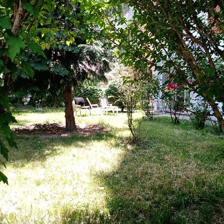 Central Lakeside Apartment Ohrid Eksteriør billede