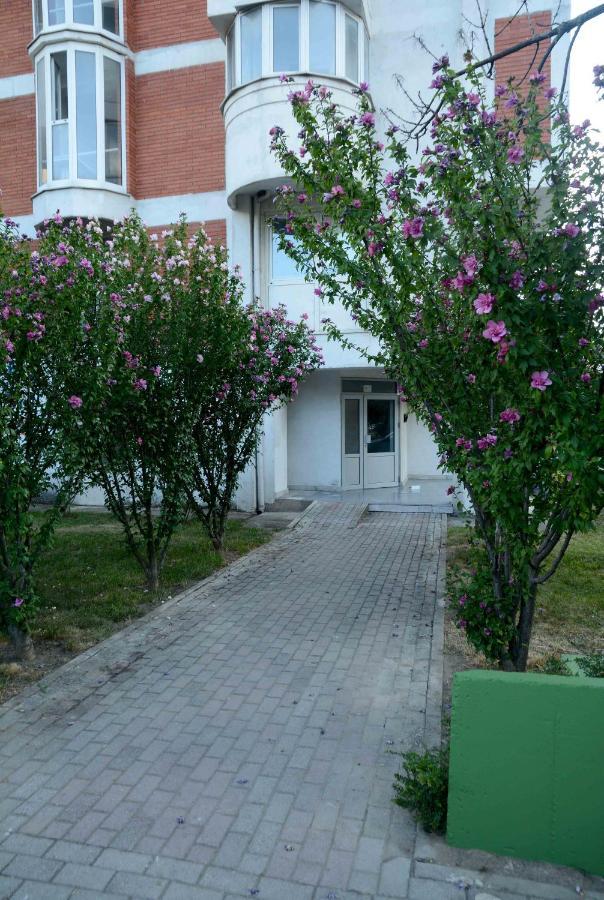 Central Lakeside Apartment Ohrid Eksteriør billede