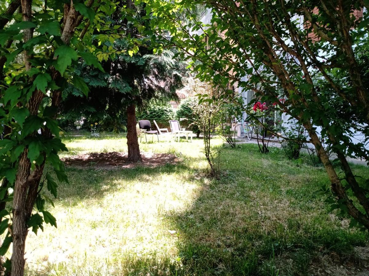 Central Lakeside Apartment Ohrid Eksteriør billede